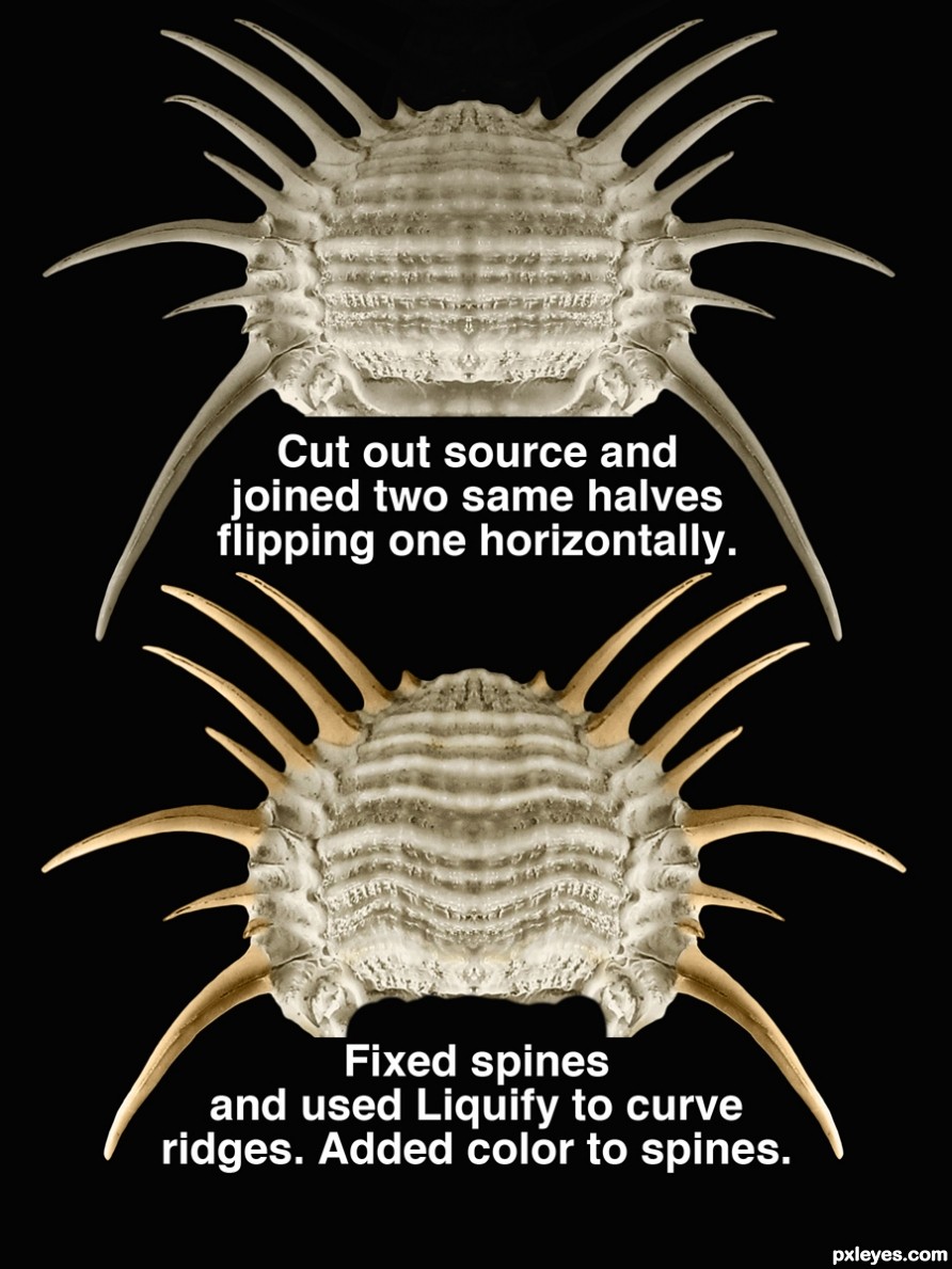 Creation of Hybrid Predator: Step 1