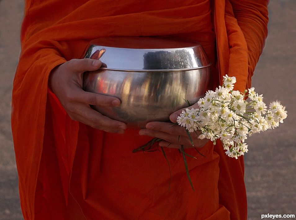 Hands of a Buddhist Monk