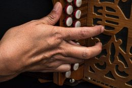 Musician hand
