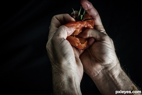 Fruit in Hand