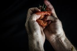 Fruit in Hand