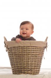 Rightinthebasket