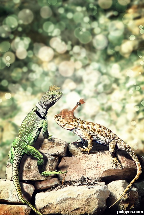 Creation of Romance: Step 8