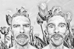 Tulips of Groucho