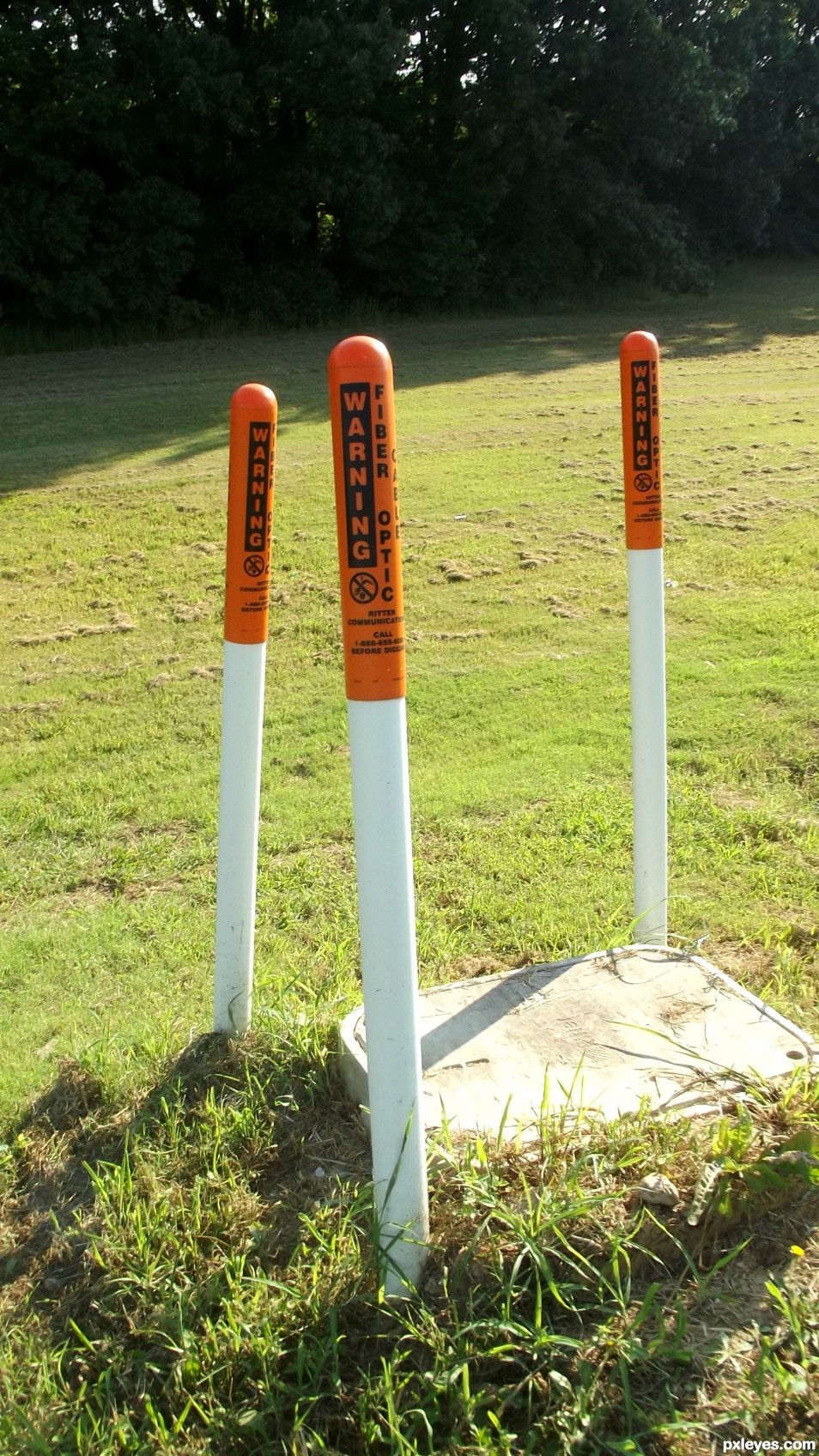 Warning poles