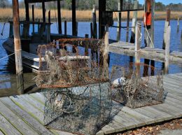 Crab Pots