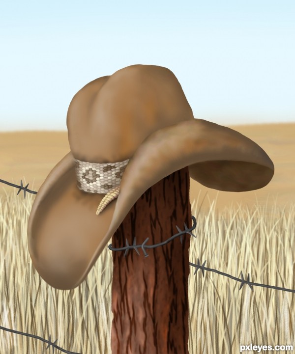 Cowboy Hat Stand