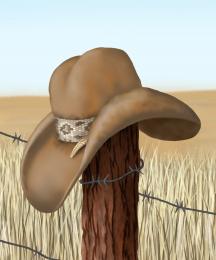 Cowboy Hat Stand