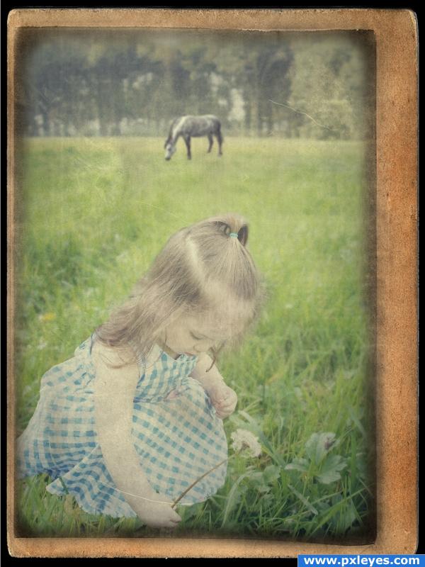 Dandelion girl