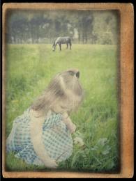 Dandelion girl