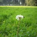 hawkbit photoshop contest