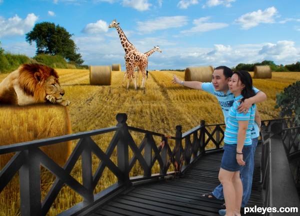 Creation of outdoor zoo safari: Final Result