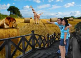 outdoorzoosafari