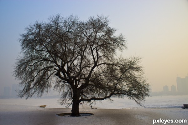 Creation of Harbin Tree: Step 1