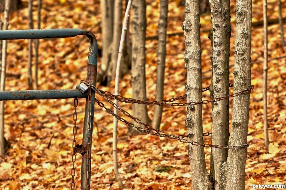 Locked Gate