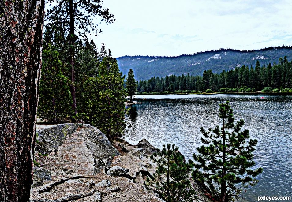 Lake in the Forrest