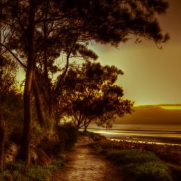 Sunrise, Moreton Bay, Australia Picture