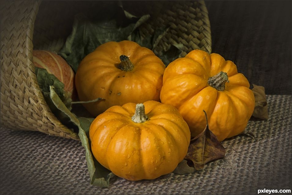 Mini pumpkins