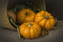 Mini pumpkins