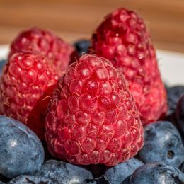 raspberriesandblueberries