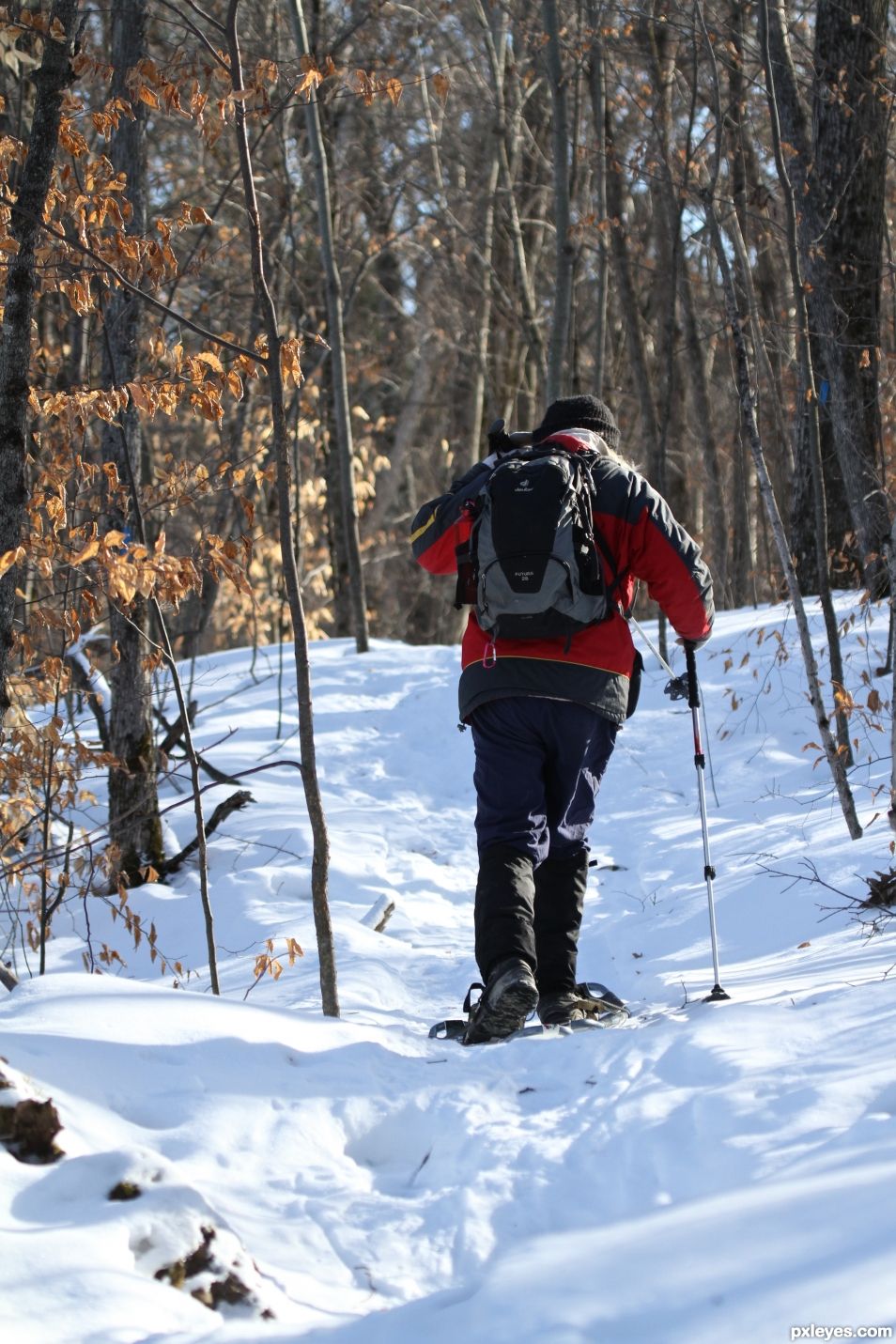 Snowshoeing