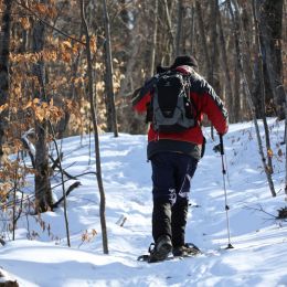 Snowshoeing