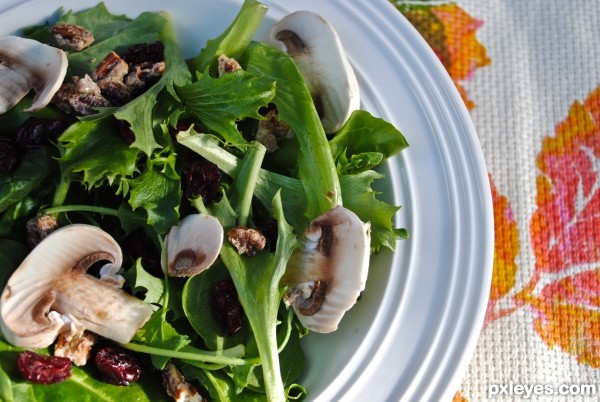 Mushroom, Cranberry and Candied Walnut Salad