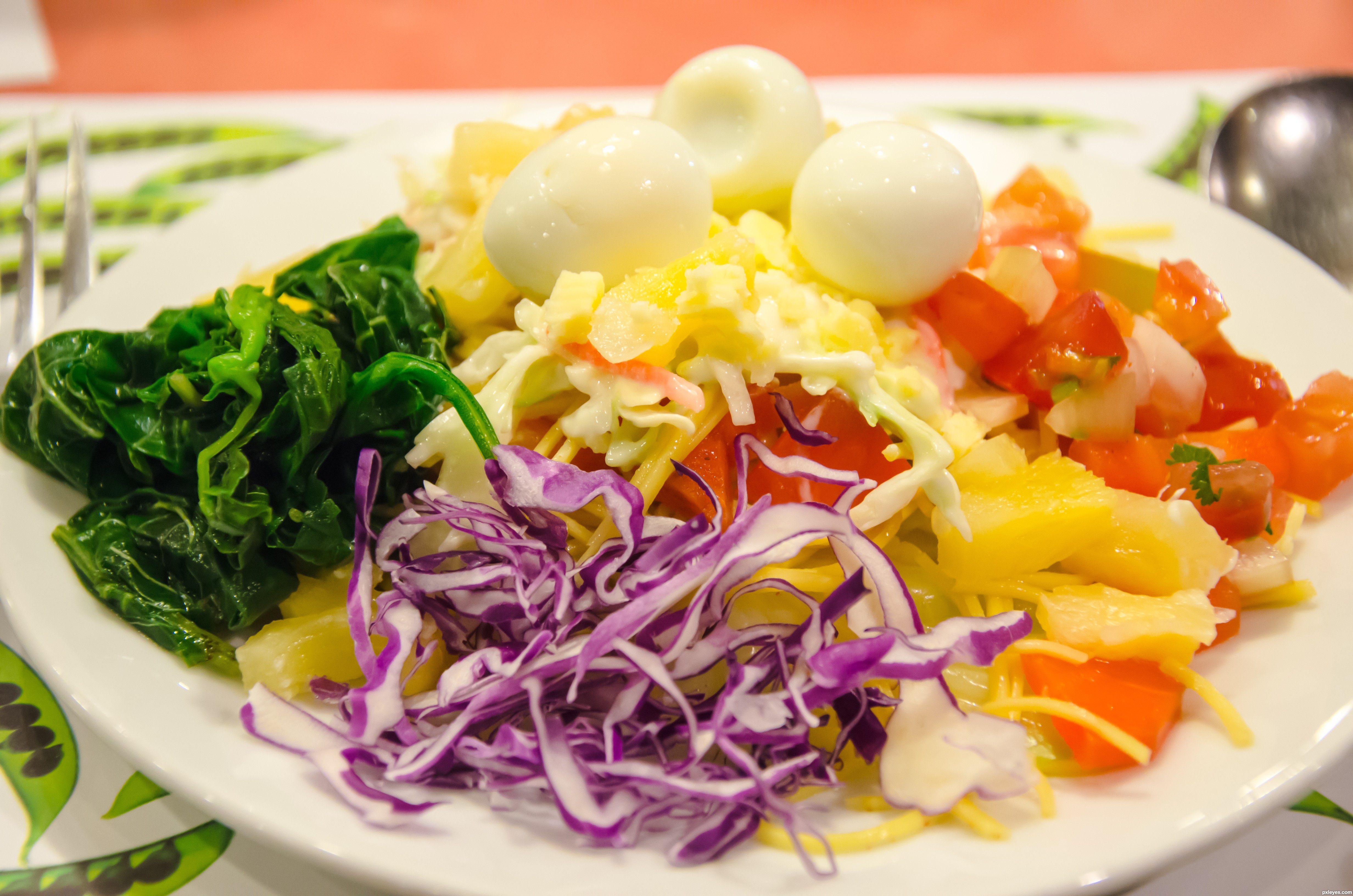 Vegetable meal picture, by jelguoce for: healthy meals photography 