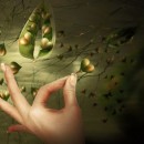 heart shaped 2017 photography contest