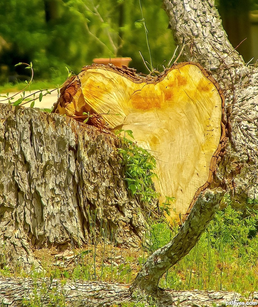 twisted wooden heart