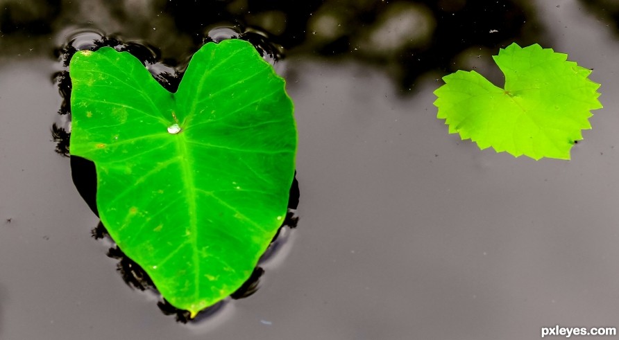 two different lonely hearts drifting on water 