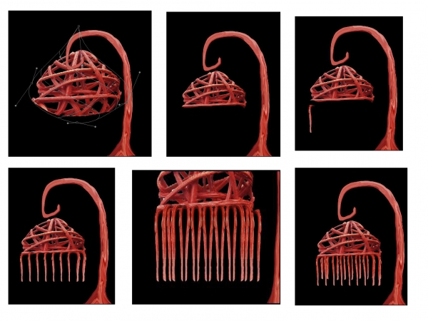 Creation of JellyFish: Step 3