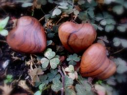 wooden hearts