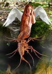 underground angel Picture