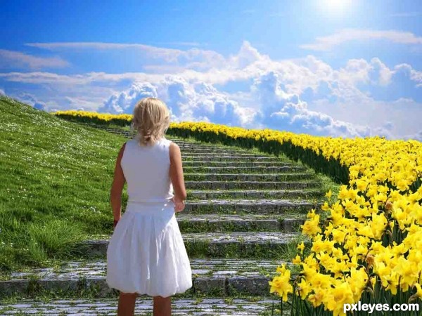 Creation of Heaven is a place...: Step 5