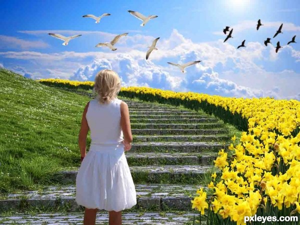 Creation of Heaven is a place...: Step 6