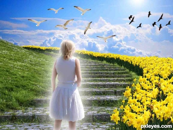 Creation of Heaven is a place...: Step 7