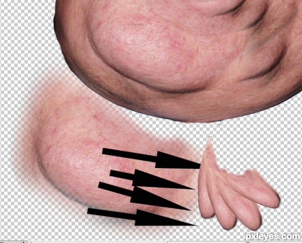 Creation of 