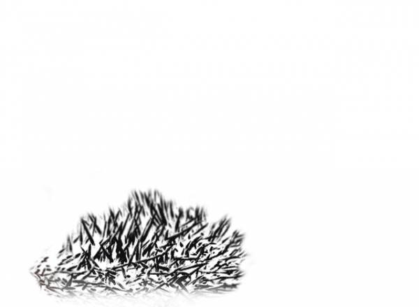 Creation of hedgehog_4a2c35863292d: Step 1