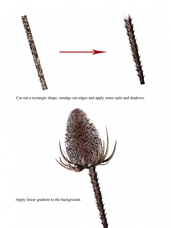 Creation of Thistle: Step 2