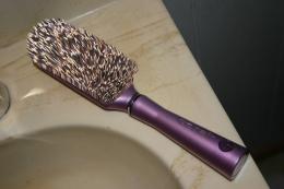 HairBrush