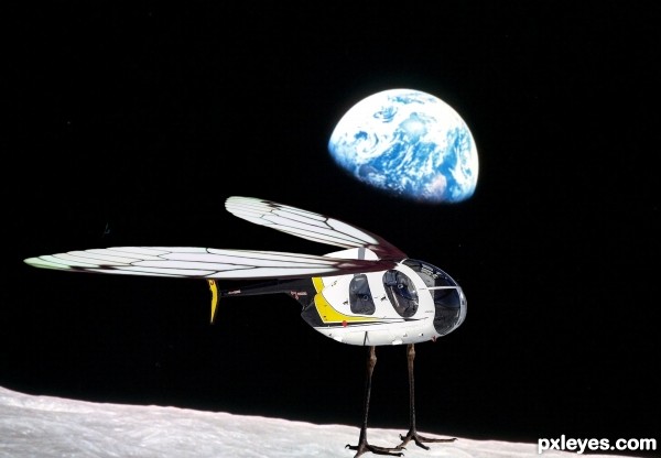 Copter Animal on Moon