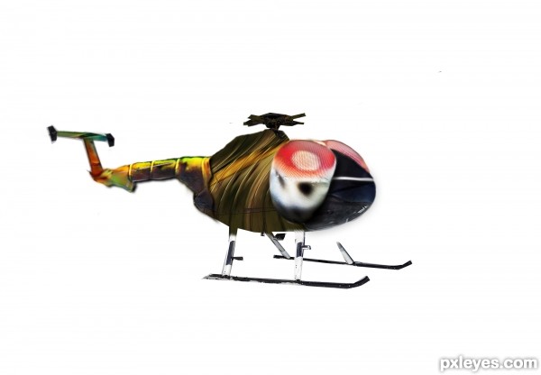 Creation of Dipteracopter: Step 6