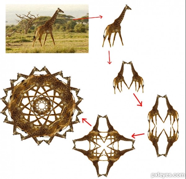Creation of Savanna Windchime: Step 1