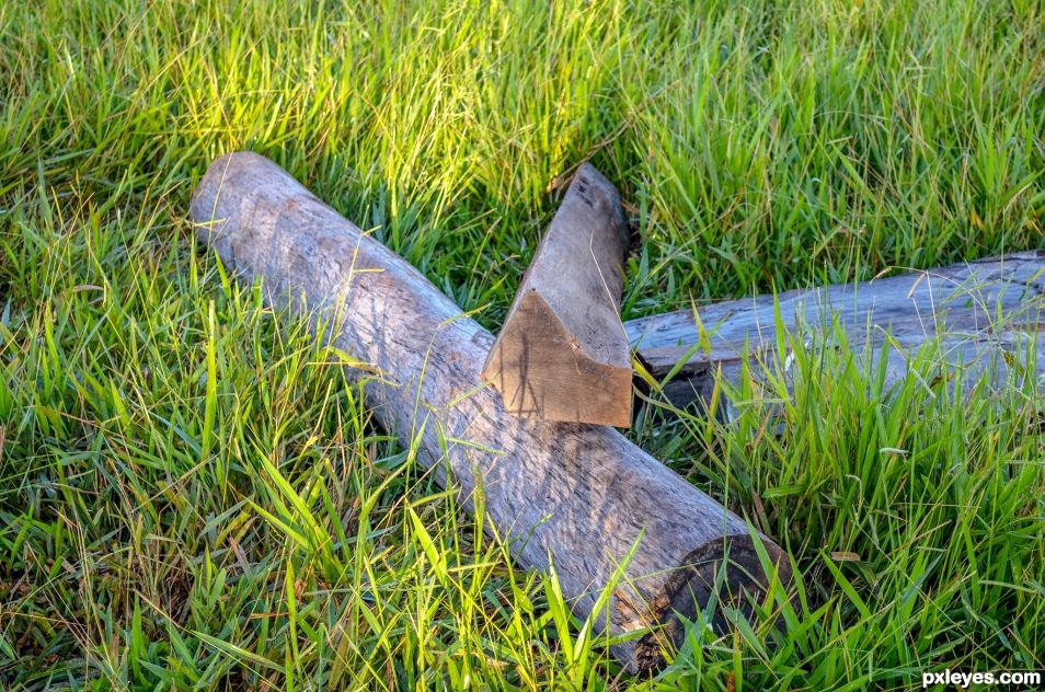 Fence Posts