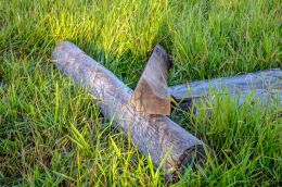 Fence Posts