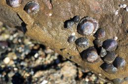 UndertheRock