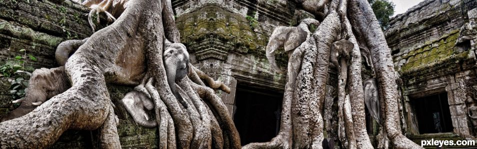 Six Pachyderms at Angkor Wat