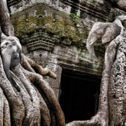 SixPachydermsatAngkorWat