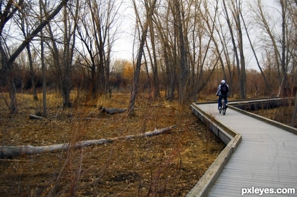 Seasonal Cycling